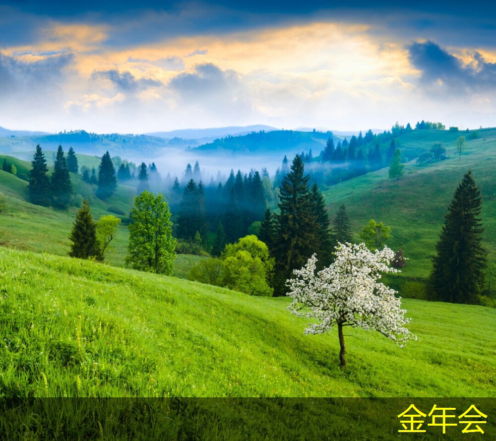 普印力打印機(jī)的便捷維護(hù)方法