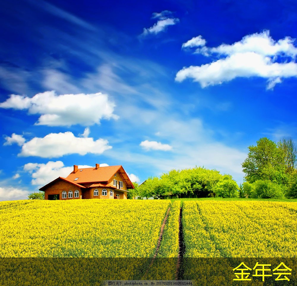 惠普打印機與競爭品牌的對比