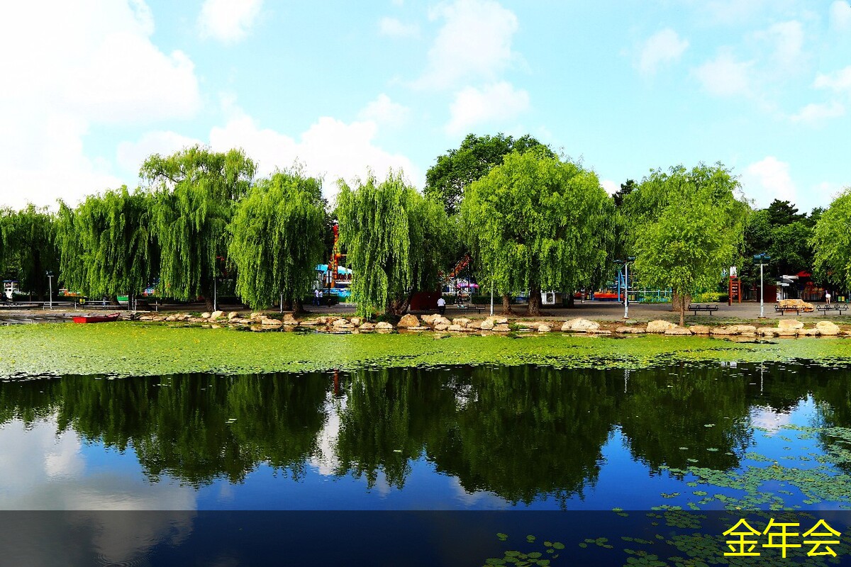 惠普打印機(jī)的市場(chǎng)競爭力分析