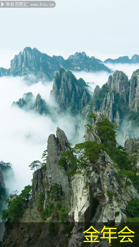 惠普打印機的應(yīng)用案例分析