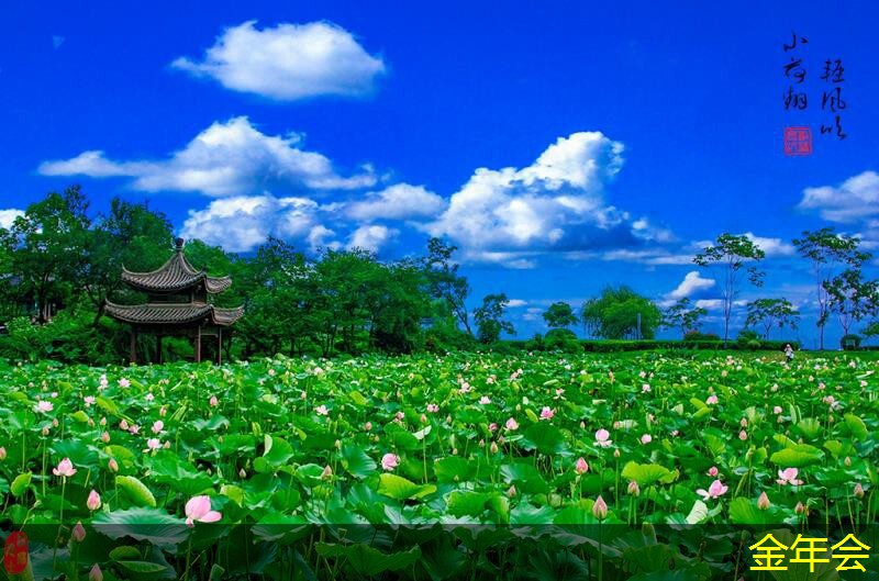 惠普打印機(jī)的智能控制系統(tǒng)