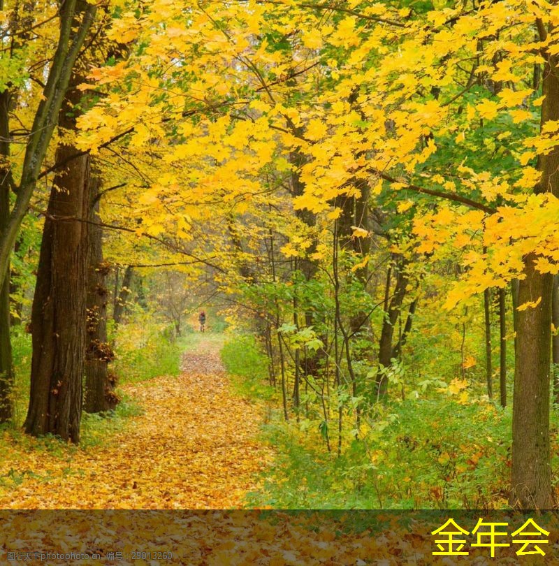 普印力打印機的創(chuàng)新技術揭秘