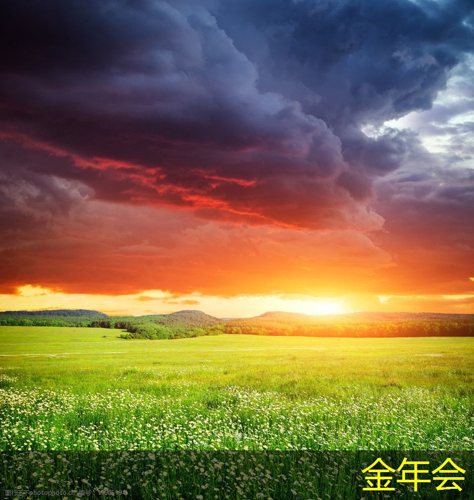 普印力打印機(jī)的市場趨勢預(yù)測