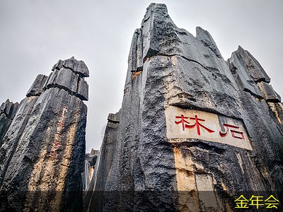 普印力打印機的操作指南